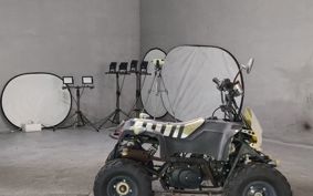 OTHER  BUGGY 50CC ..