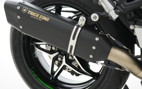 KAWASAKI NINJA H2 SX SE 2020 ZXT02A