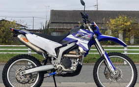 YAMAHA WR250R DG15J