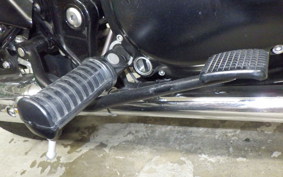 KAWASAKI W800 CAFE 2022 EJ800E