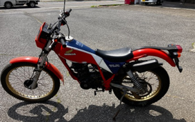HONDA TLR200 MD09