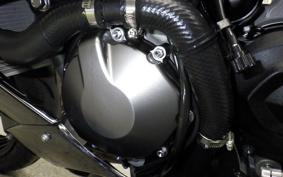 KAWASAKI NINJA ZX-6R A 2019 ZX636G