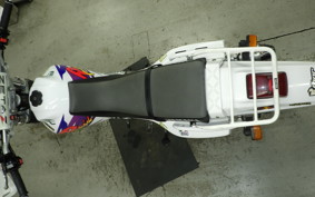 YAMAHA TT250R RAID 2013 4GY