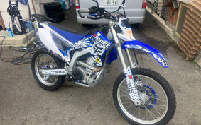 YAMAHA WR250R DG15J