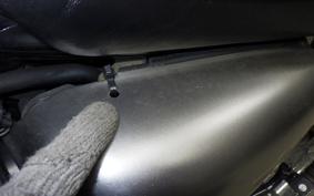KAWASAKI W800-2ｽﾄﾘｰﾄ 2021 EJ800B