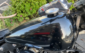 HARLEY FXS1200-1340 2023 BCK