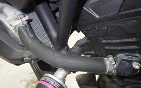 YAMAHA MT-25 RG10J