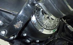 HARLEY XL883N 2017