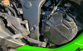 KAWASAKI NINJA 250 EX250L