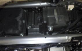 HARLEY FLSTFI1920 2025