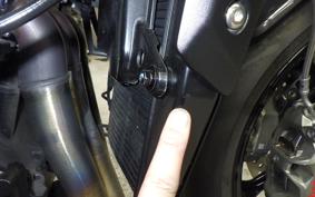 TRIUMPH SPEED TRIPLE RS 2025