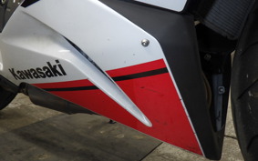 KAWASAKI NINJA ZX-6R A 2020 ZX636G