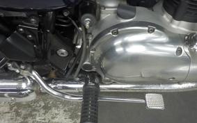 KAWASAKI W800 2021 EJ800B