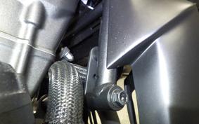 HONDA REBEL 250  S E-clutch 1999 MC49