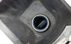 YAMAHA MAXAM 250 SG21J