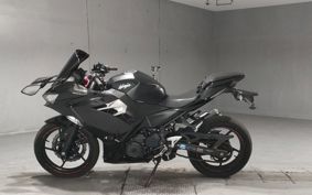 KAWASAKI NINJA 250 EX250P
