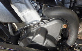 KAWASAKI ZX-4RR 2024