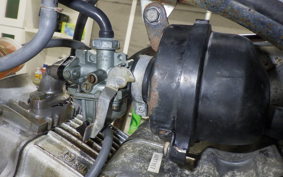 HONDA MONKEY 2023 Z50J