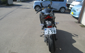 KAWASAKI NINJA ZX-25R ZX250E