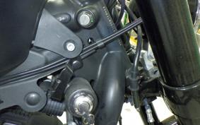 HARLEY XL1200CX 2020