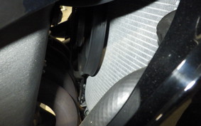 KAWASAKI NINJA ZX-6R A 2021 ZX636G