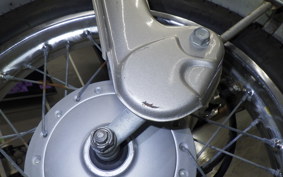 HONDA LITTLE CUB 2024 AA01