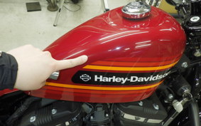 HARLEY XL1200XS 2020