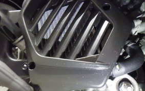 HONDA TACT Basket 2024 AF79