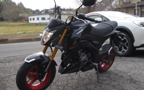 KAWASAKI Z125 PRO BR125H