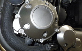 KAWASAKI ZRX1200 D 2013 ZRT20D