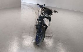 KAWASAKI D-TRACKERX LX250V