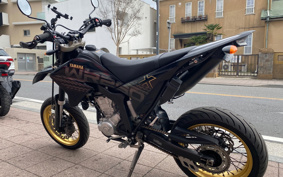 YAMAHA WR250X DG15J