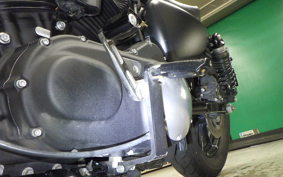 HARLEY XL883N 2020