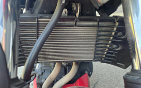 YAMAHA MT-25 RG10J