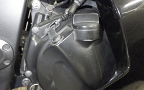 KAWASAKI NINJA 250R 2021 EX250K