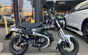 HONDA  DUX 125 JB06