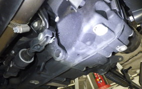 HARLEY RH975 2022