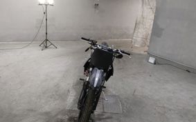 KAWASAKI D-TRACKERX LX250V