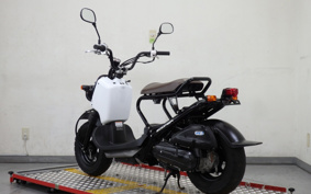 HONDA ZUMAR AF58