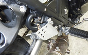 KAWASAKI ZRX1200 D 2009 ZRT20D