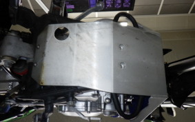 KAWASAKI KLX250D TRACKER X 2024 LX250V