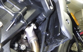 TRIUMPH TRIDENT 660 2023