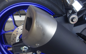 YAMAHA YZF-R25 RG74J