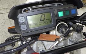 KAWASAKI SUPER SHERPA 2020 KL250G