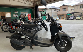 HONDA ZUMAR AF58
