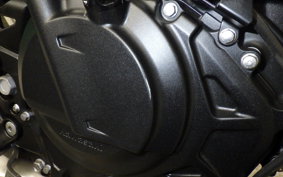KAWASAKI Z250 Gen.2 2026 EX250Y