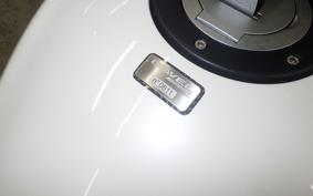DUCATI DIAVEL AMG 2013
