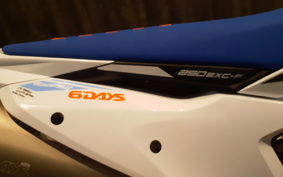 KTM 250 EXC F SIXDAYS EXA40