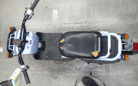 HONDA ZOOMER 2024 AF58