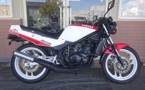 YAMAHA RZ250R 29L